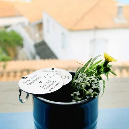 Arenaria Leucadia فندق Áyios Nikítas