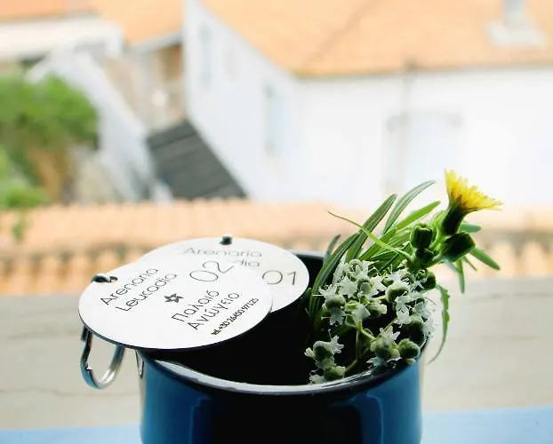 Arenaria Leucadia Hotell Áyios Nikítas